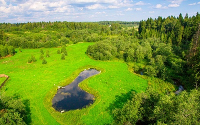 фото Морозко