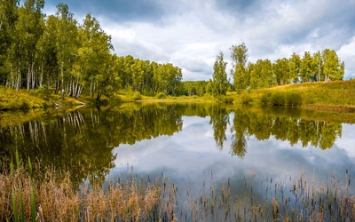 фото Сапроново