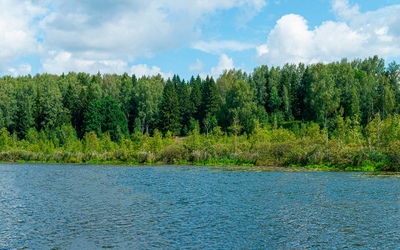фото Ольшаны