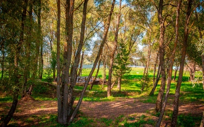 фото Спутник