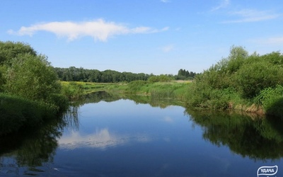 фото Дорино