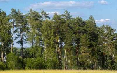фото Живописный берег