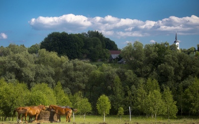 фото Живописный берег